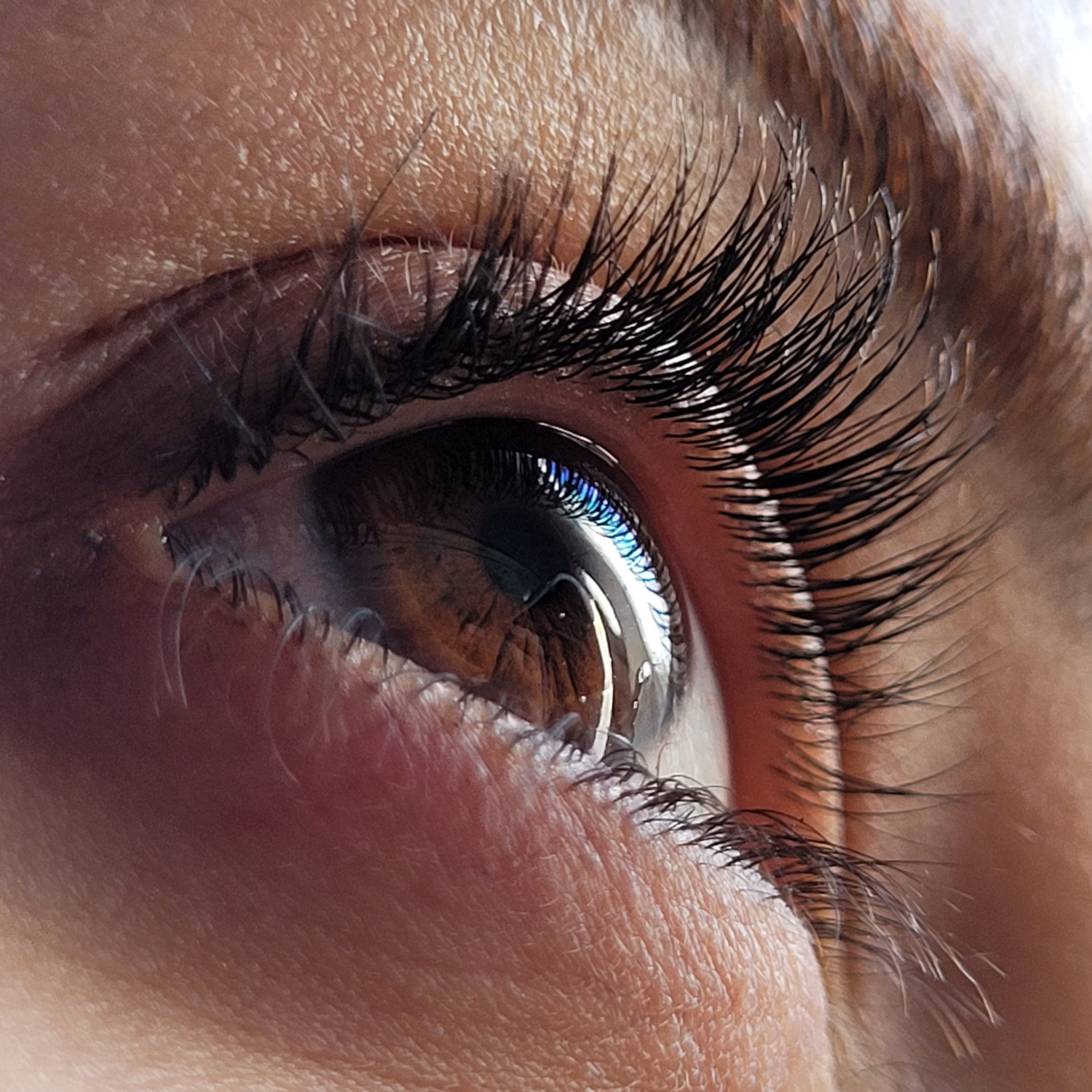 lfreier augen make up entferner fr knstliche wimpern LongLashes  Augen Make-up Entferner von Dr. Massing Cosmetics
