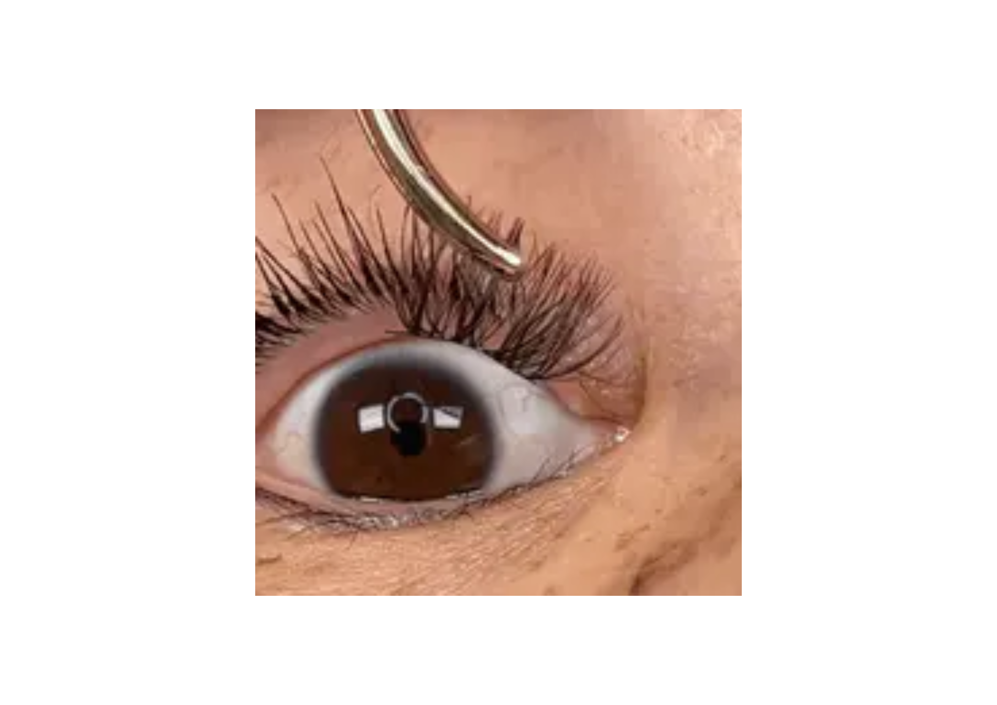 Wie Lange Halten Selbst Geklebte Wimpern DIY Wimpernextensions zuhause selbst machen | lashdreams – LASHDREAMS
