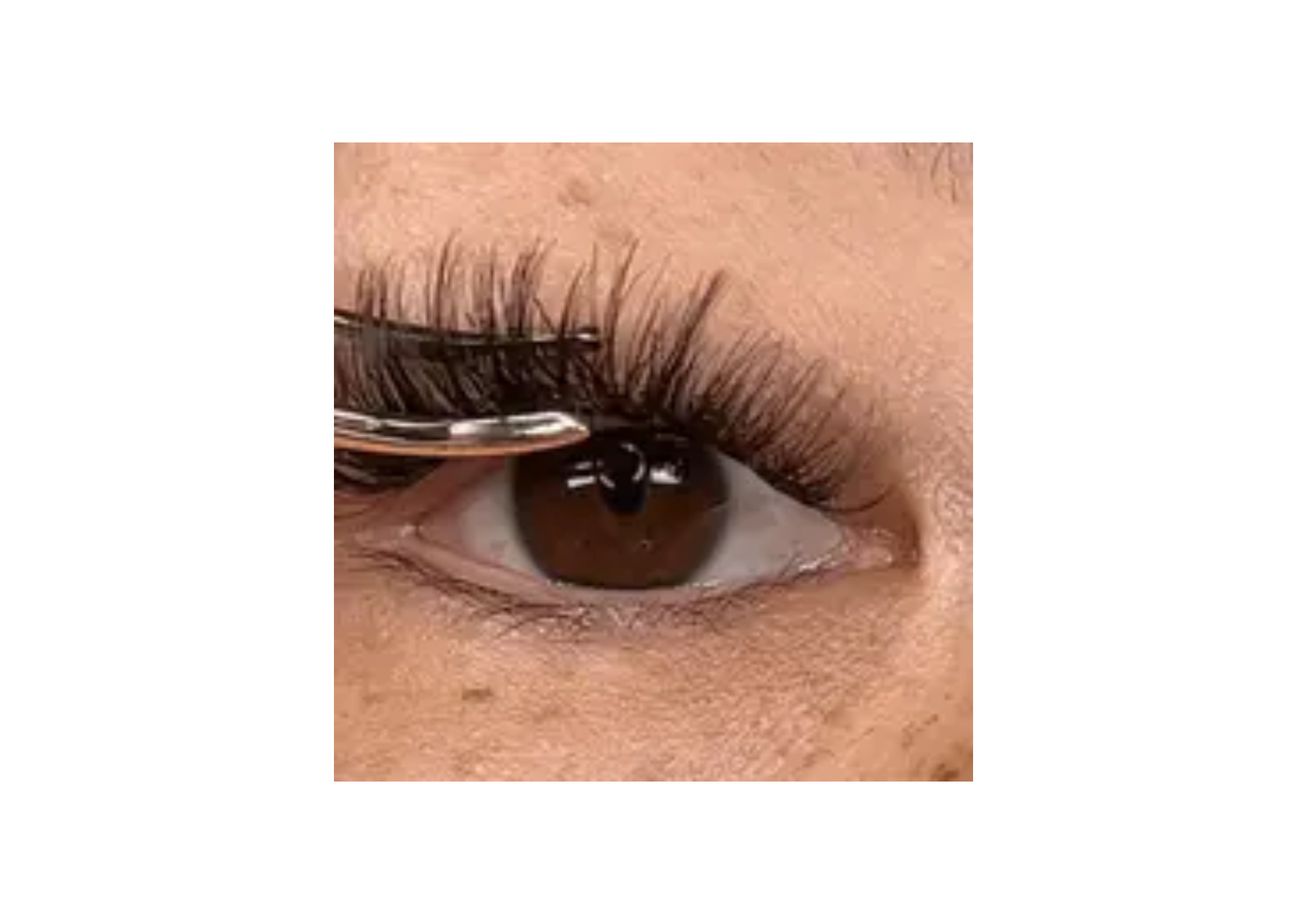 Wie Bekommt Man Wimpern Extensions Selber Ab DIY Wimpernextensions zum Selbstkleben für Zuhause | lashdreams